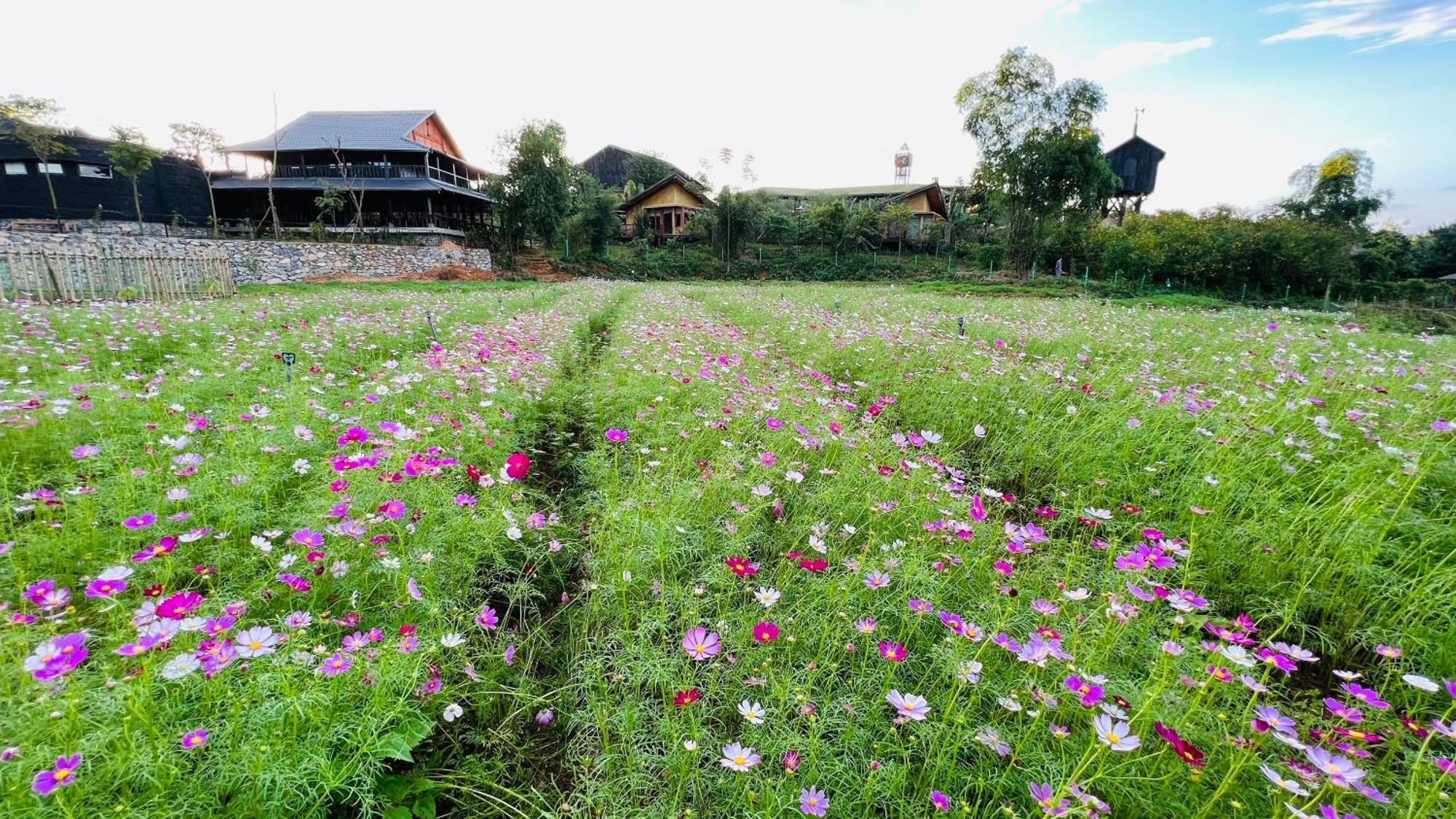 Satoyama Village Luong Son  Exterior photo